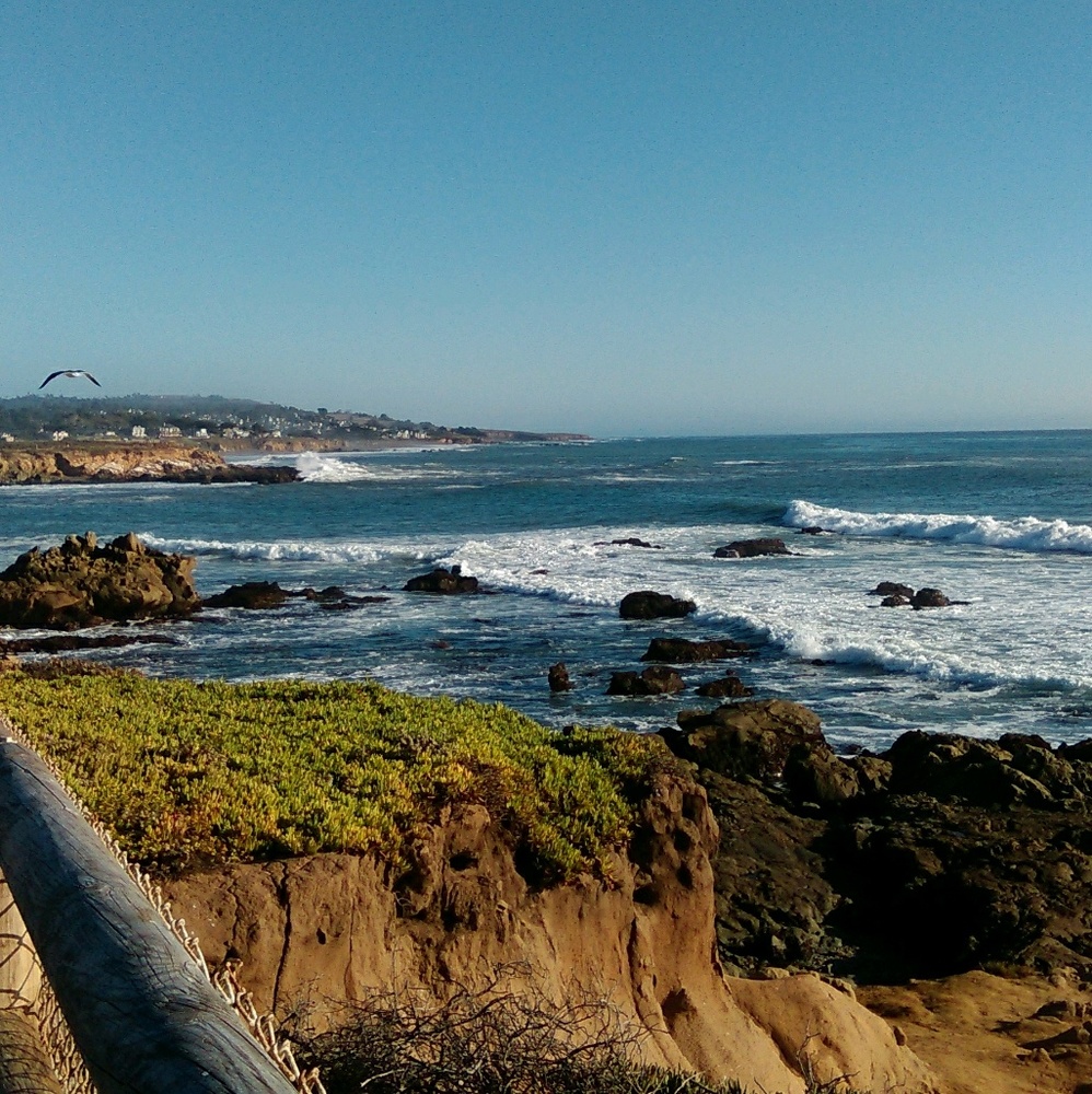 Meet your Posher, Sandra